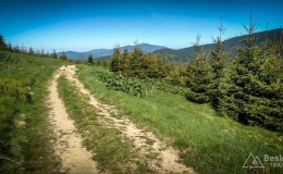 IMG_20170601_162742_HDR