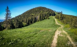 IMG_20170601_163112_HDR