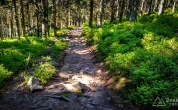 IMG_20170601_165214_HDR