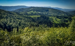 IMG_20170601_170340_HDR