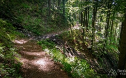 IMG_20170601_170540_HDR