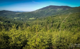 IMG_20170601_171058_HDR