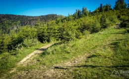 IMG_20170601_171244_HDR