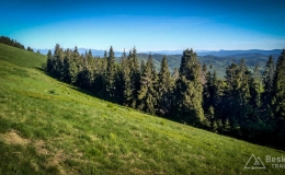 IMG_20170601_174249_HDR