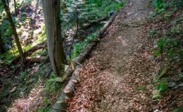 IMG_20170601_181156_HDR