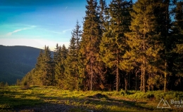 IMG_20170601_201242_HDR