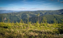 IMG_20170608_182558_HDR
