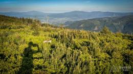 IMG_20170608_185013_HDR