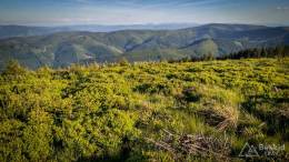 IMG_20170608_185018_HDR