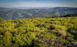 IMG_20170608_185018_HDR