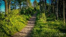 IMG_20170608_191130_HDR