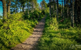 IMG_20170608_191130_HDR