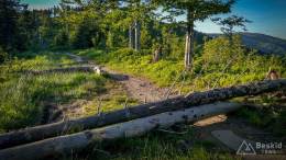 IMG_20170608_191134_HDR