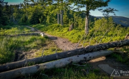 IMG_20170608_191134_HDR