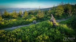 IMG_20170608_193459_HDR