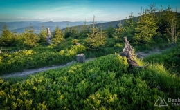 IMG_20170608_193459_HDR