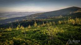 IMG_20170608_193647_HDR