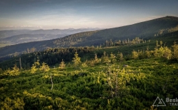 IMG_20170608_193647_HDR
