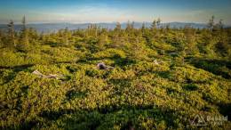 IMG_20170608_194852_HDR