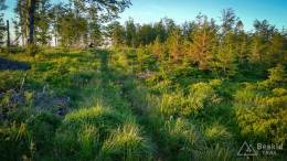 IMG_20170608_200404_HDR