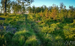 IMG_20170608_200404_HDR