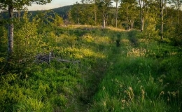 IMG_20170608_200408_HDR