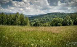 IMG_20170611_114420_HDR