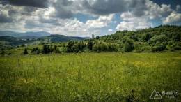 IMG_20170611_120727_HDR