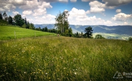 IMG_20170611_123513_HDR