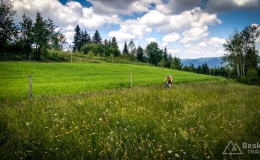 IMG_20170611_123524_HDR