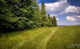 IMG_20170611_125646_HDR