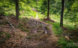 IMG_20170611_142711_HDR