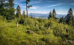 IMG_20170611_175739_HDR