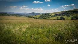 IMG_20170615_102522
