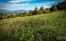 IMG_20170615_104121_HDR