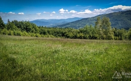 IMG_20170615_122224_HDR