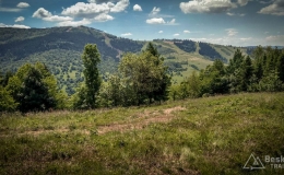 IMG_20170615_131818_HDR