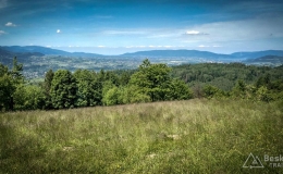 IMG_20170615_140009_HDR