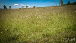 IMG_20170615_151820