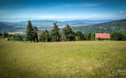 IMG_20170615_155155_HDR