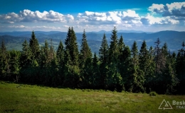 IMG_20170615_171136_HDR