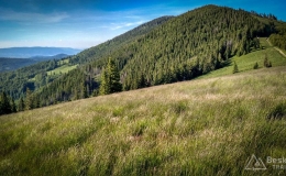 IMG_20170615_180313_HDR