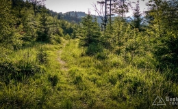 IMG_20170615_191850_HDR