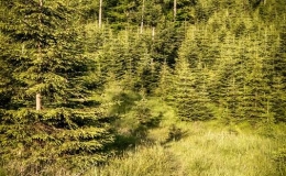 IMG_20170615_191855_HDR