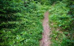 IMG_20170615_192307
