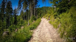 IMG_20170622_100652_HDR