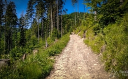 IMG_20170622_100652_HDR