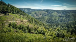 IMG_20170622_102724_HDR