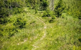 IMG_20170622_111918_HDR