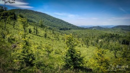 IMG_20170622_111931_HDR